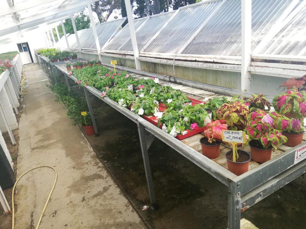 Galería Viveros Irun